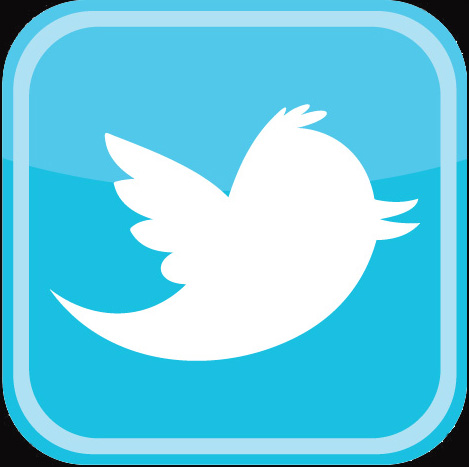 twitter button newsletter page